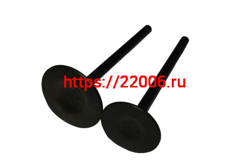 Клапан впускной SHINERAY VJP250-4 172FMM (22020096) фото 2 Клапан впускной SHINERAY VJP250-4 172FMM (22020096) фото 2