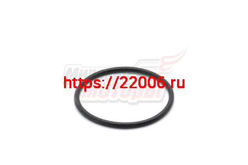 Кольцо уплотнительное CHAMPION BC9713 ведущего вала привода цепи 43,5х2,6 (111020710001) Кольцо уплотнительное CHAMPION BC9713 ведущего вала привода цепи 43,5х2,6 (111020710001)