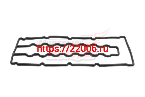 Прокладка крышки клапанной дизель H5 (1003501ED01) Прокладка крышки клапанной дизель H5 (1003501ED01)