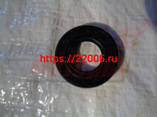 Сальник 15х28х5 CHAMPION 55,250 правый (сторона сцепления) (1755169) Сальник 15х28х5 CHAMPION 55,250 правый (сторона сцепления) (1755169)