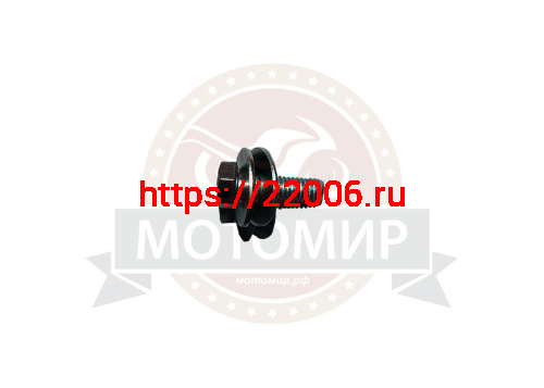 Болт М8*25мм + 2 шайбы (гровер+шайба М8) (крепление ведомой звезды) на Лидер